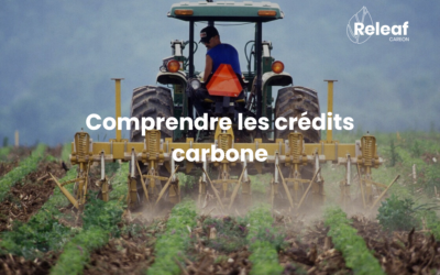 Crédit carbone : Tout sur le marché carbone