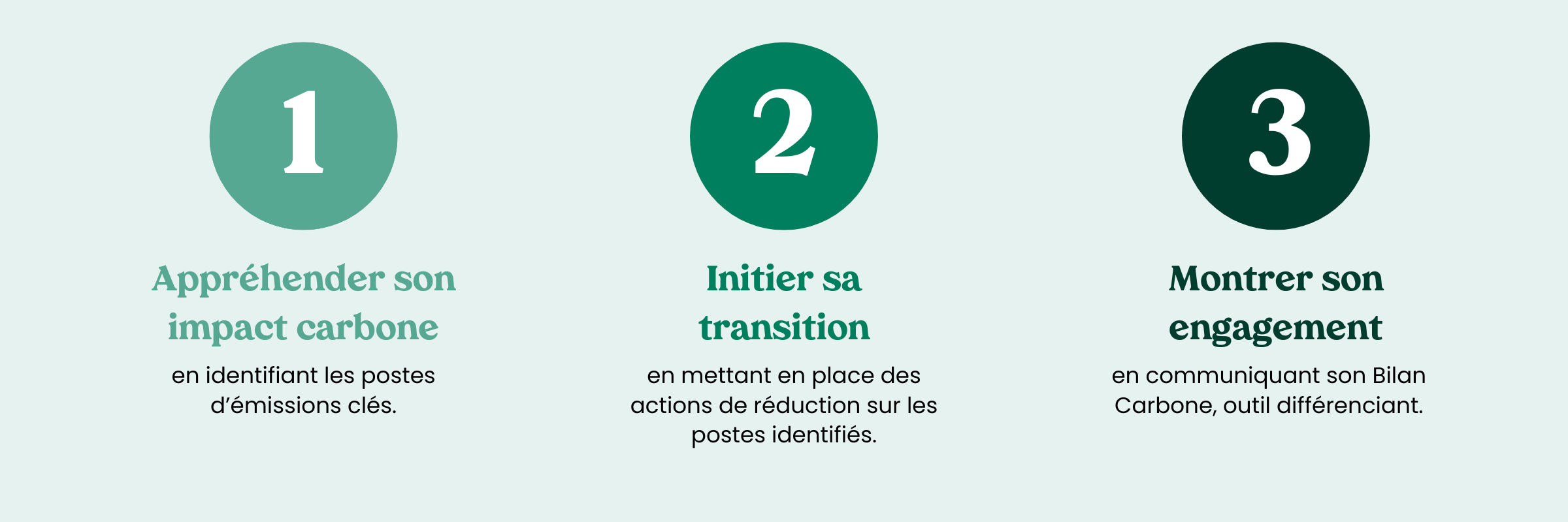 Infographie Raisons BC