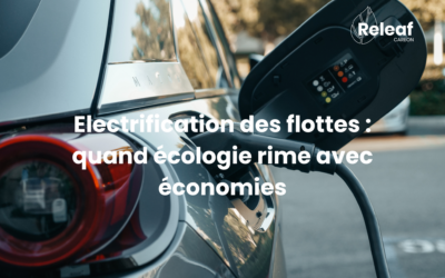 Electrification des flottes : quand écologie rime avec économies
