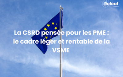 La CSRD pensée pour les PME : le cadre léger et rentable de la VSME